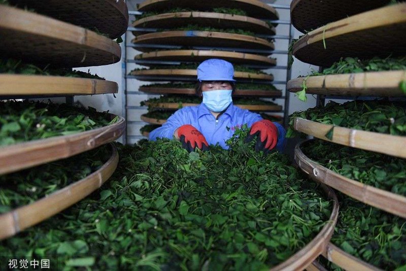 定制茶叶:品味独特的生活艺术
