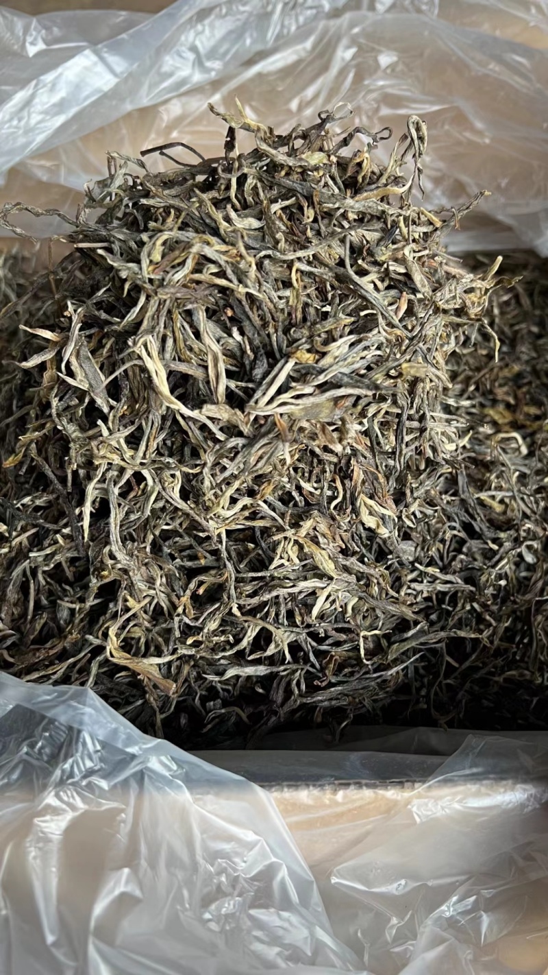 普洱茶批发:品鉴古韵茶香,共享健康之旅