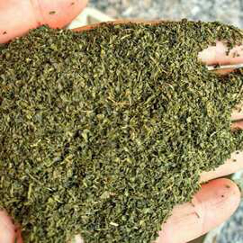选购红茶加工的小贴士